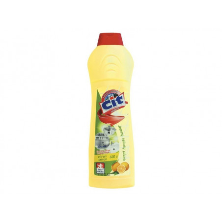 Čistiaci prostriedok tekutý 600g