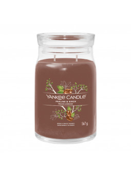 YANKEE CANDLE-PRALINE & BIRCH