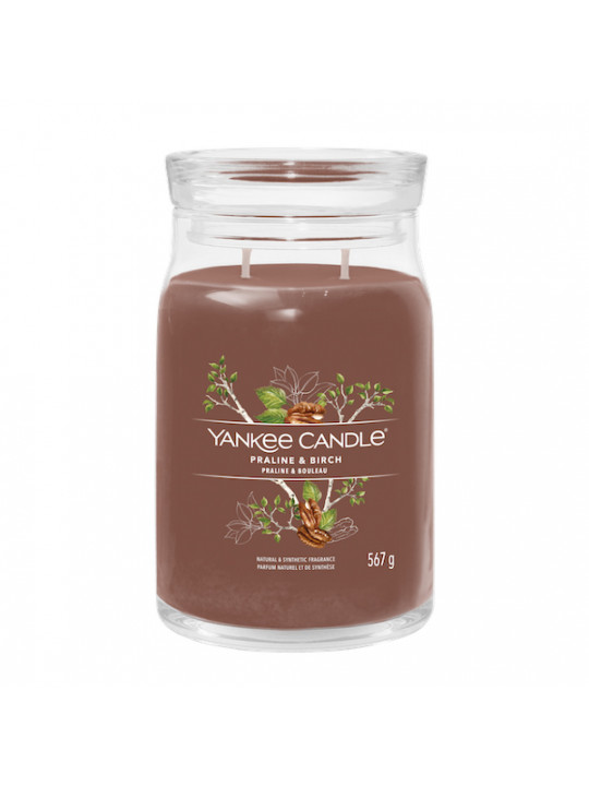 YANKEE CANDLE-PRALINE & BIRCH