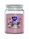 Aura 500g - frozen-berries