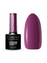 CLARESA WINTER WONDERLAND COLLECTION