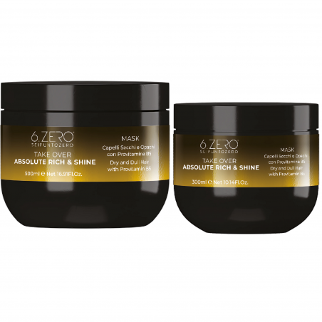 6.ZERO TAKE OVER – ABSOLUTE RICH & SHINE MASKE FÜR TROCKENES & MATTES HAAR