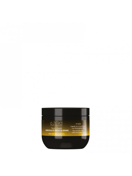 6.ZERO TAKE OVER – ABSOLUTE RICH & SHINE MASKE FÜR TROCKENES & MATTES HAAR