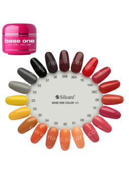 Silcare Color 5g base one 2/4