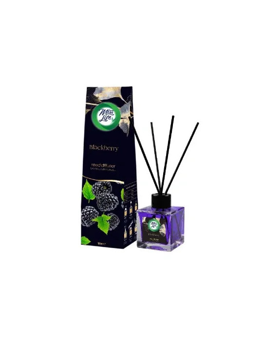 Lufterfrischer Stick 100 ml – Blackberry