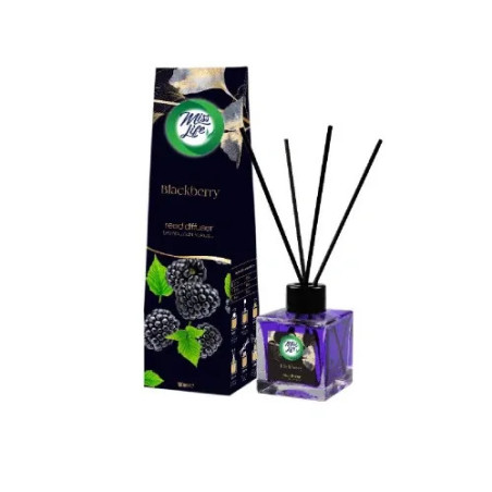 Lufterfrischer Stick 100 ml – Blackberry
