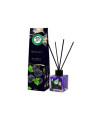 Lufterfrischer Stick 100 ml – Blackberry