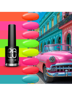 PALU HAVANA KOLLEKTION – 11 g