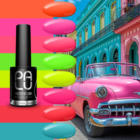 PALU HAVANA KOLLEKTION – 11 g